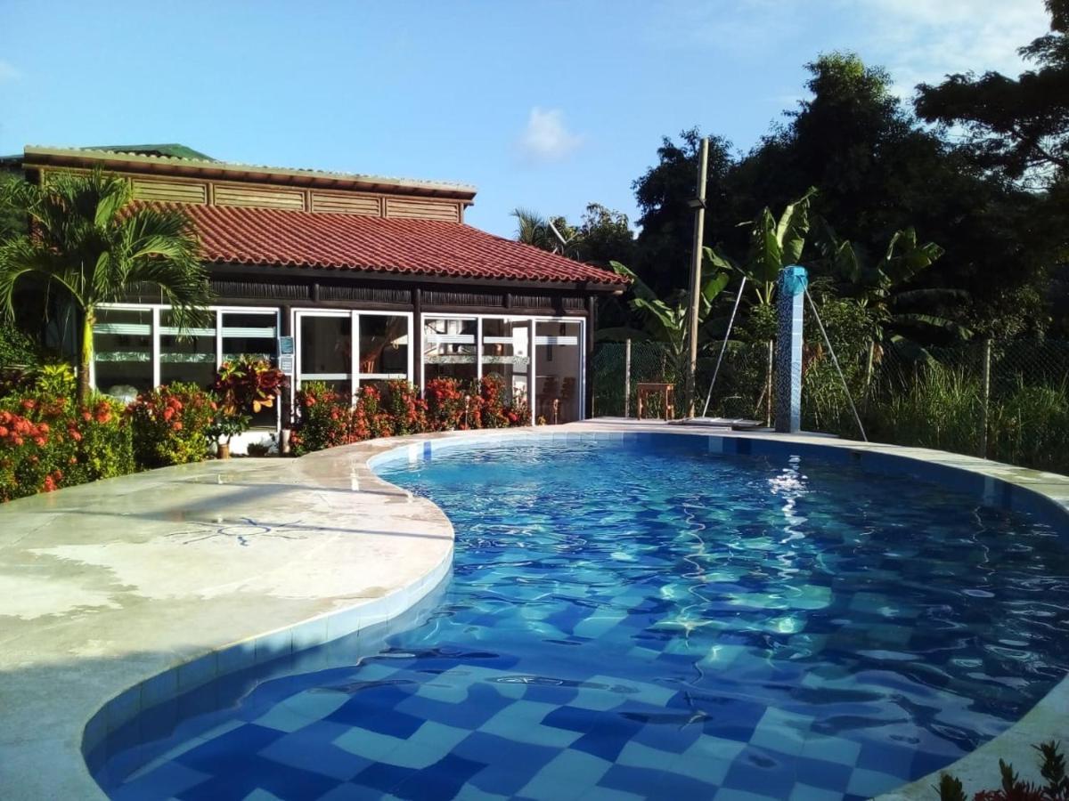 Indigo Beautiful House * Palomino