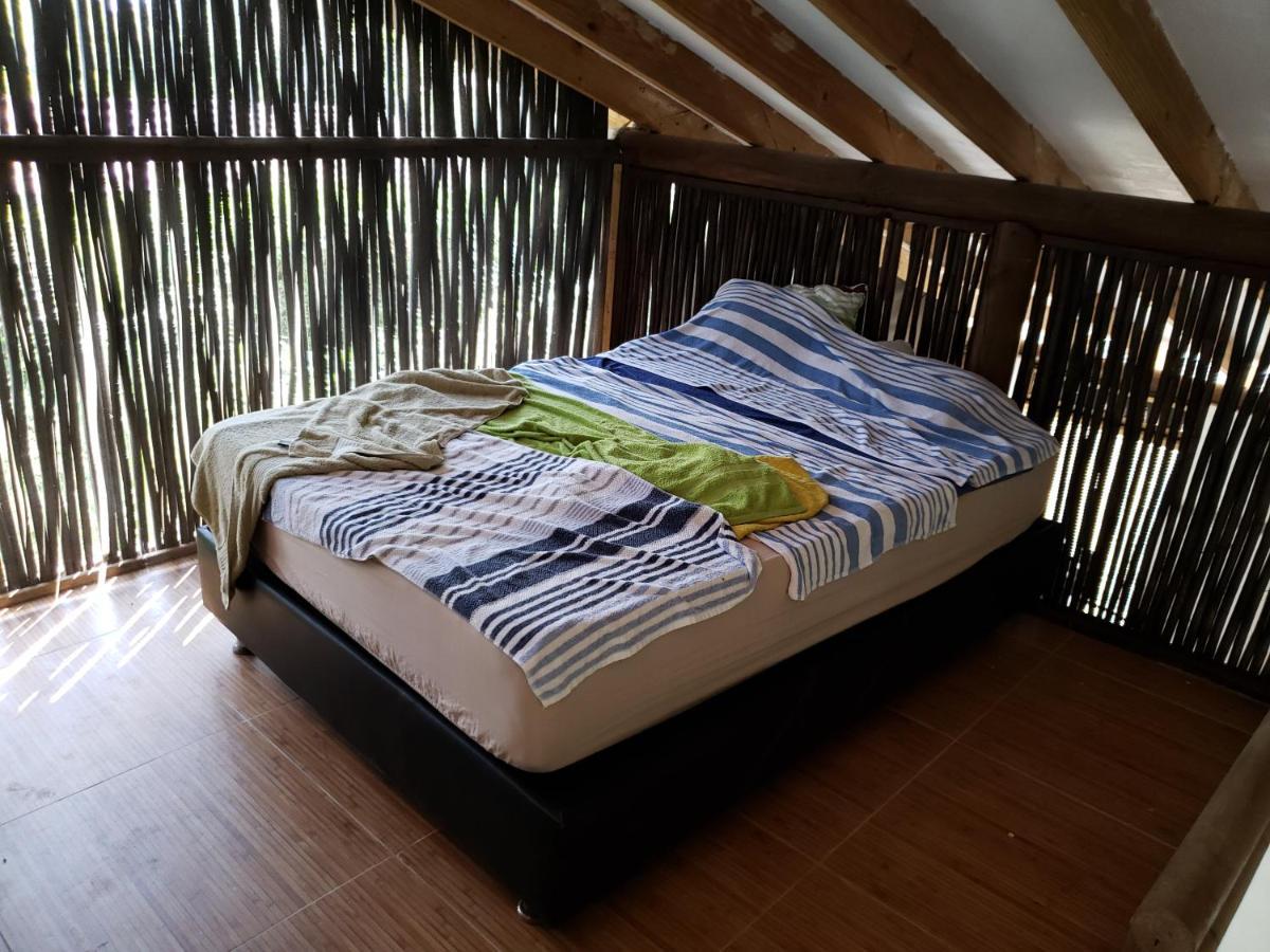Indigo Beautiful House * Palomino