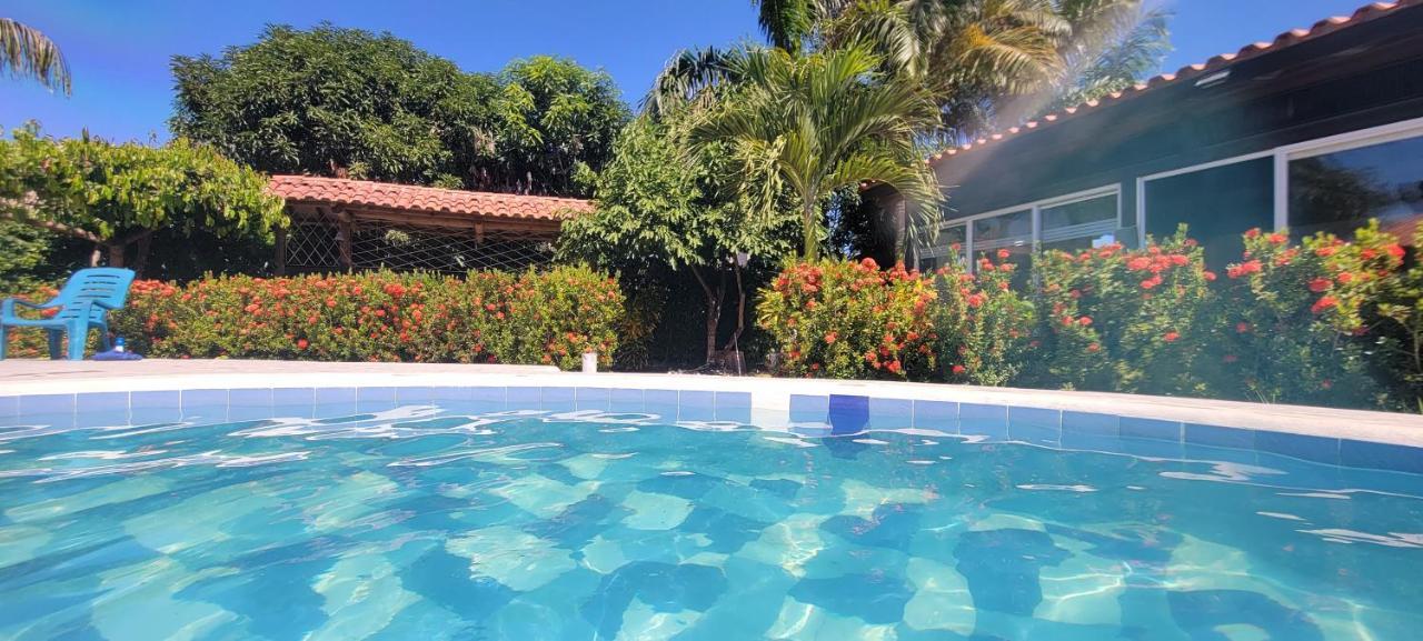 Indigo Beautiful House * Palomino